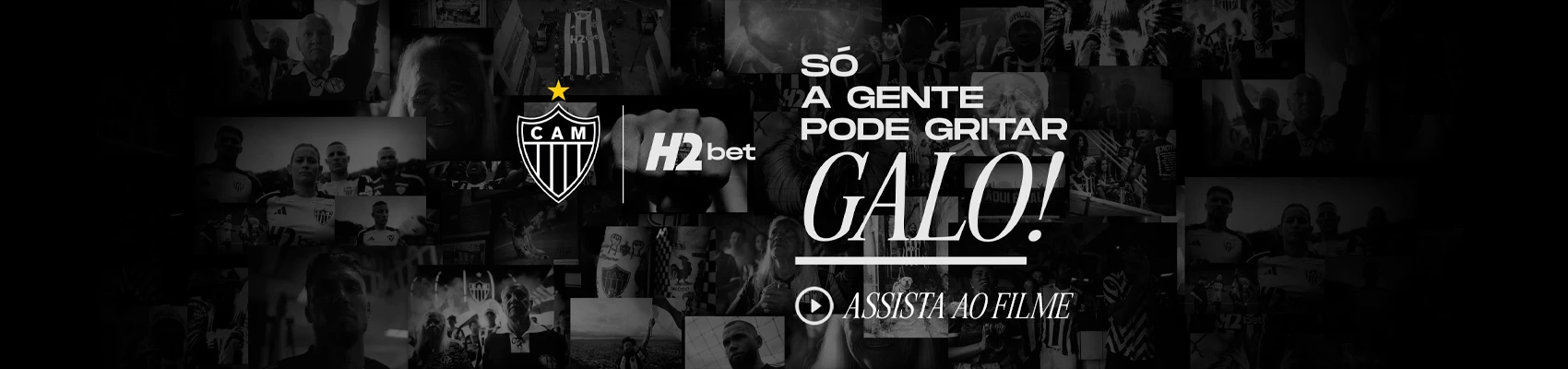 Robô blaze apostas download 2022